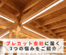 ポラテック株式会社　期間：2026.3.31